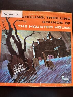 Disney Orange Haunted House Vinyl Record Cover